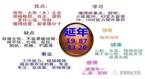 天医加延年|数字能量学之延年磁场，天医磁场，延年加天医磁场解析